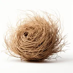 Cây cỏ lăn Cây cỏ lăn