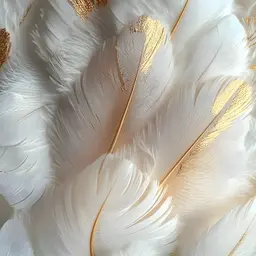 Feathers