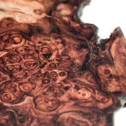 Gỗ Cocobolo