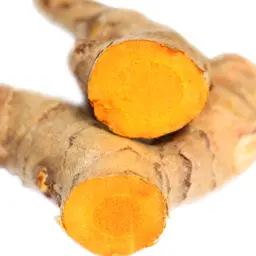 Nghệ