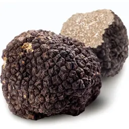 Nấm cục