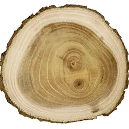Gỗ Guaiac