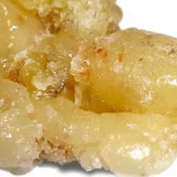 Nhựa Elemi