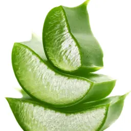Nha Đam