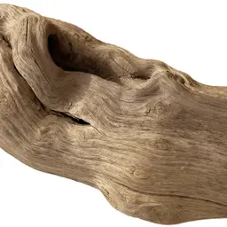 Gỗ Trôi Dạt