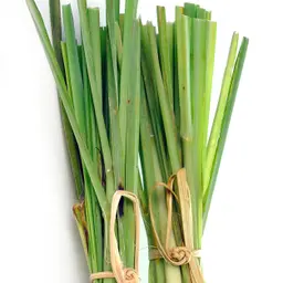 Cây sả hồng