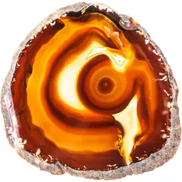 Long diên hương