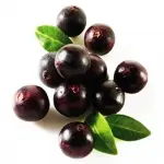 Quả Acai