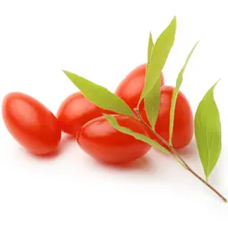 Quả kỷ tử