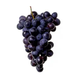 Nho Pinot Noir