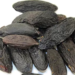 Đậu Tonka