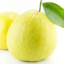 Cam Bergamot