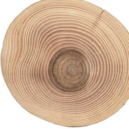 Hợp chất hương gỗ