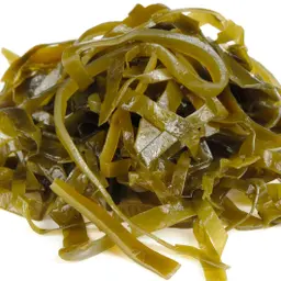 Tảo Bẹ