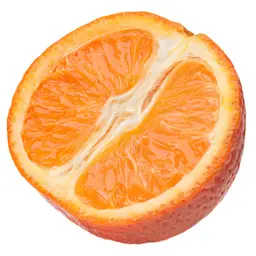 Quả quýt