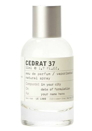 Cedrat 37 Berlin