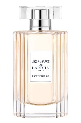 Sunny Magnolia