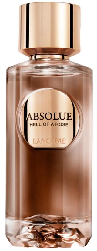 Absolue Hell Of A Rose