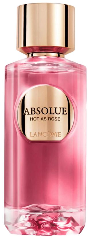 Absolue Hot As Rose