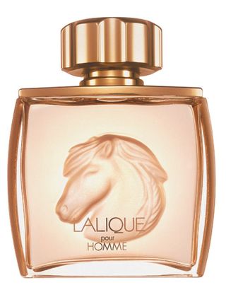Lalique Pour Homme Equus