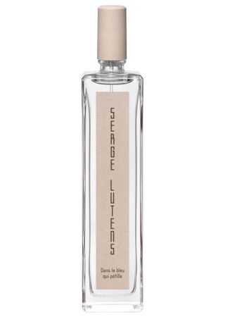 Dans Le Bleu Qui Pétille