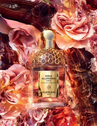 Aqua Allegoria Forte Rosa Palissandro