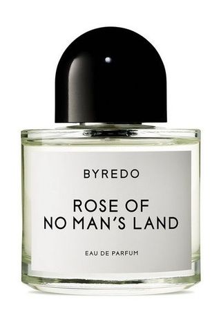 Rose Of No Man's Land