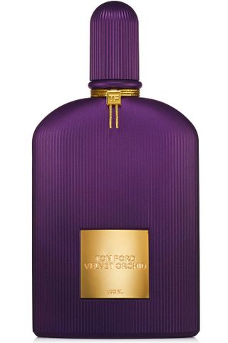 Velvet Orchid Lumière
