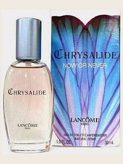 Chrysalide Now or Never