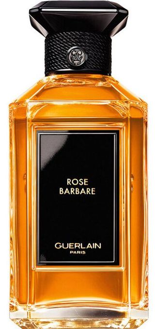 Rose Barbare