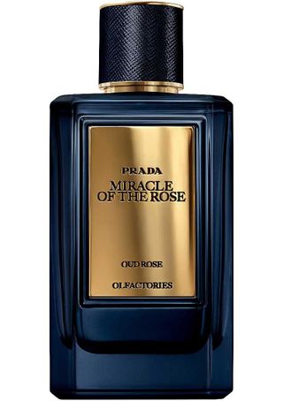 Mirages Miracle of the Rose