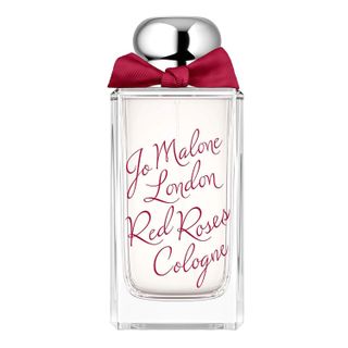 Red Roses Cologne