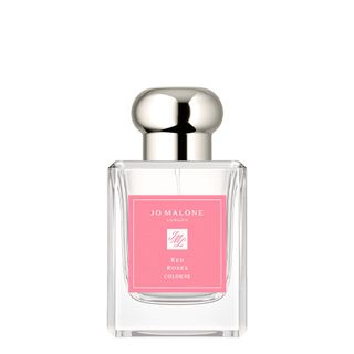 Red Roses Cologne (2023)