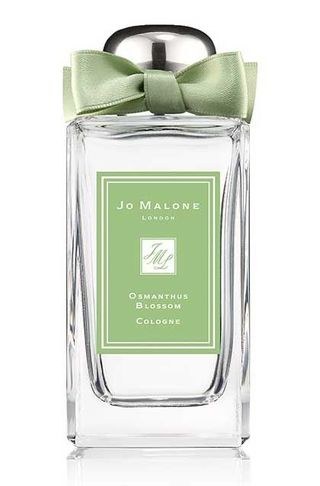 Osmanthus Blossom (2017)