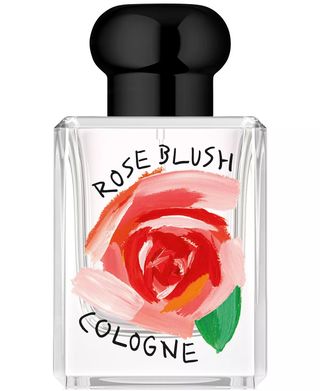 Rose Blush Cologne 2024