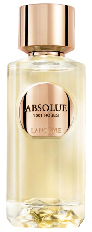 Absolue 1001 Roses