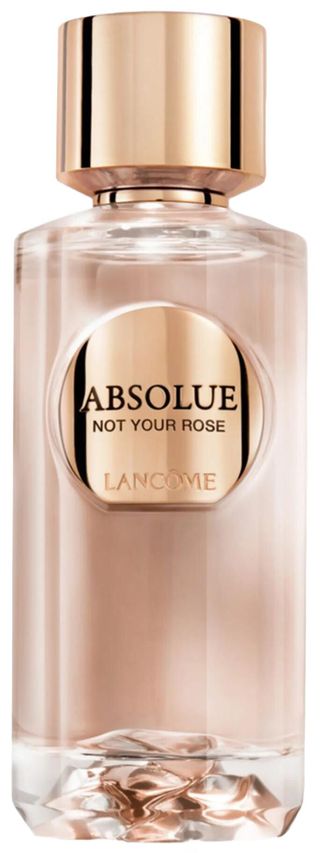 Absolue Not Your Rose