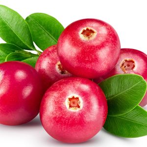 Quả nam việt quất Quả nam việt quất