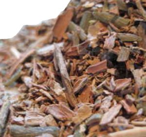 Vỏ Cây Cascarilla Vỏ Cây Cascarilla