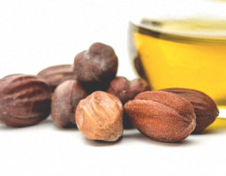 Hạt Jojoba