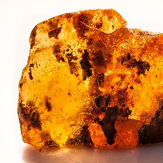 Hương gỗ, hổ phách