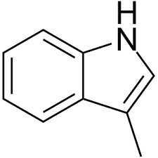 Hợp chất hương động vật