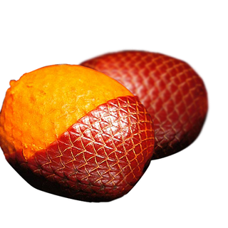 Cọ Buriti
