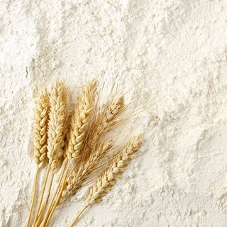 Bột mì Bột mì
