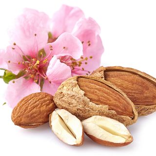 Hoa hạnh nhân Hoa hạnh nhân