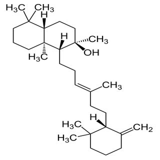 Hổ phách Hổ phách