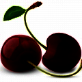 Cherry Đen