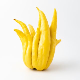 Phật thủ
