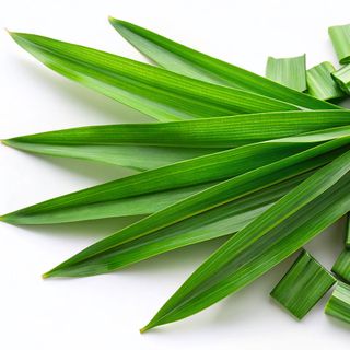 Lá dứa