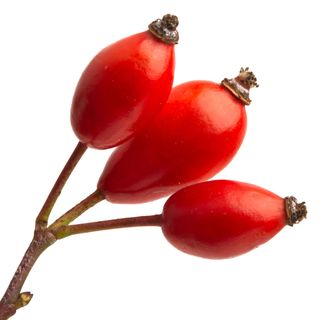 Tầm Xuân Tầm Xuân